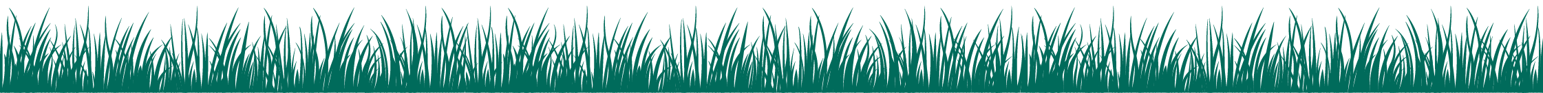 Vector grass effect