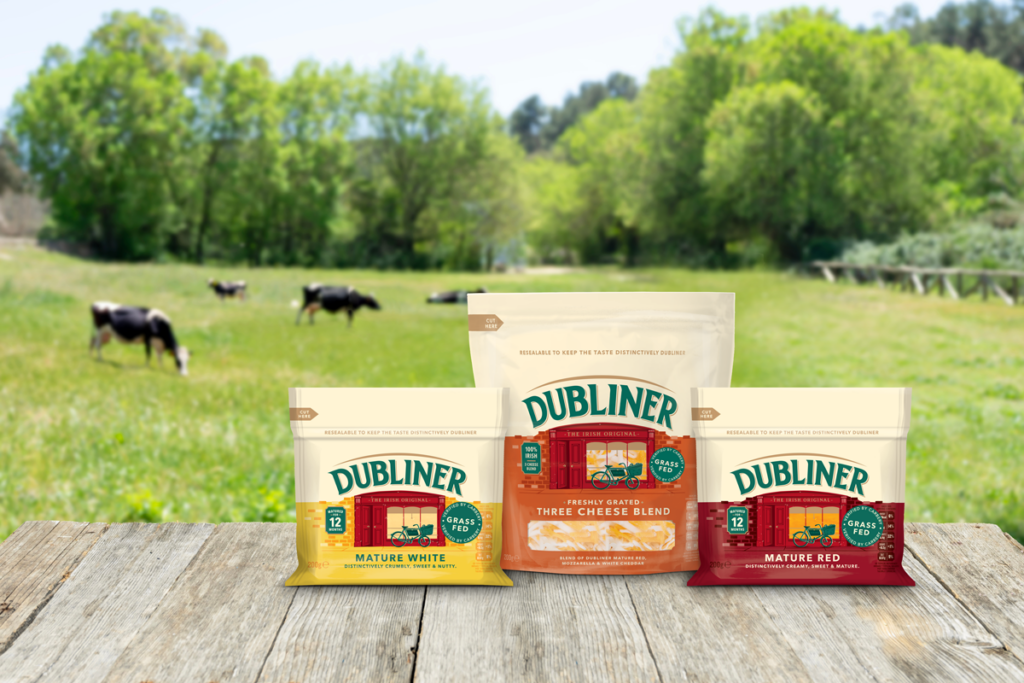 Dubliner Mature pack selection alongside grazing dairy cows